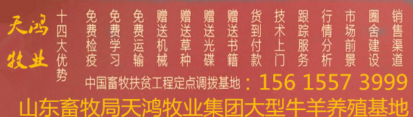 山东天鸿牧业运输协议